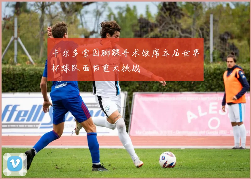 卡尔多索因脚踝手术缺席本届世界杯球队面临重大挑战